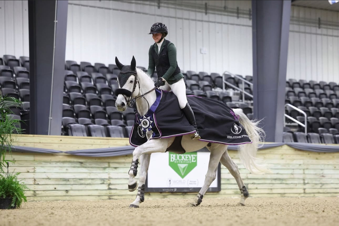 The Art of Sitting: A Dad’s Guide to Marathon Horse Show Days